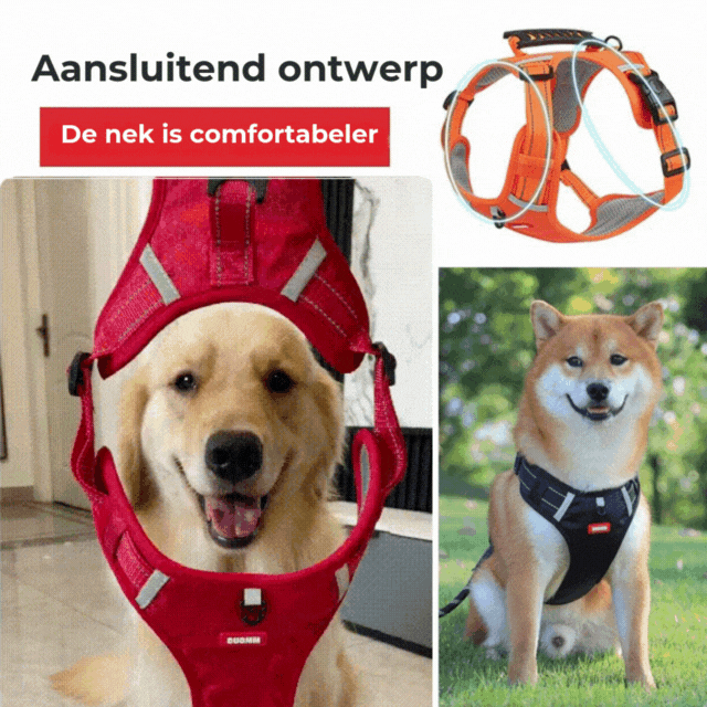 Meer Plezier, Minder Getrek: Het Comfortabele Hondenharnas