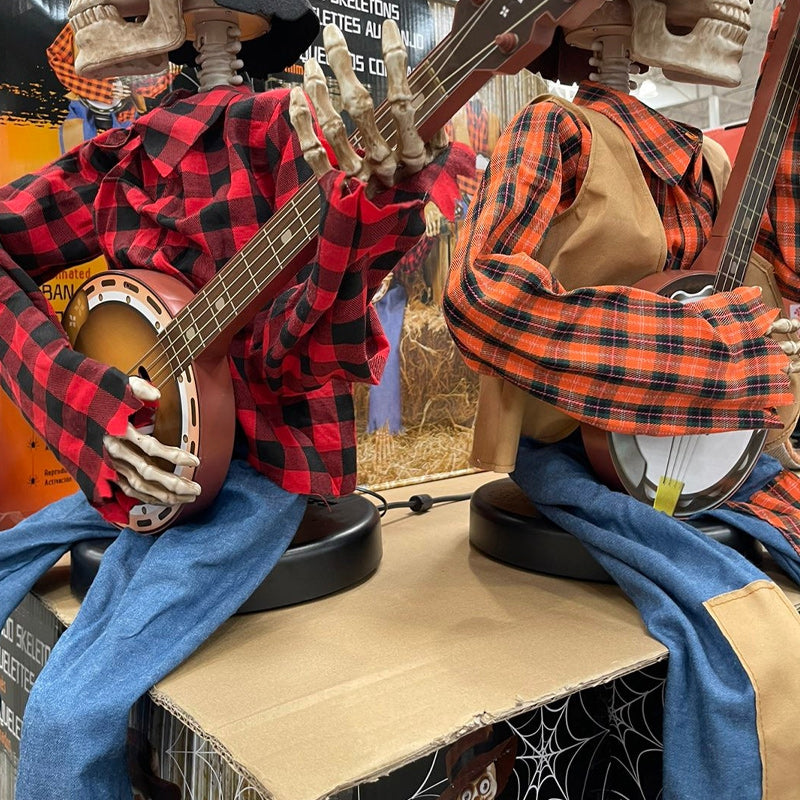 Grappige Geanimeerde Duellerende Banjo-skeletten