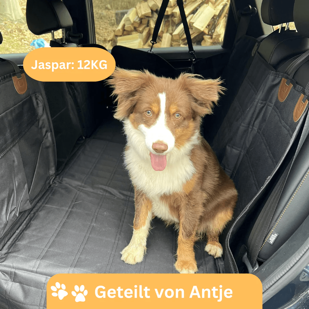 Robuste Rücksitzerweiterung