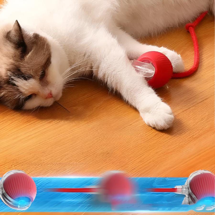 Catfri® CatBall: Automatische Interactieve Jachtbal voor Katten