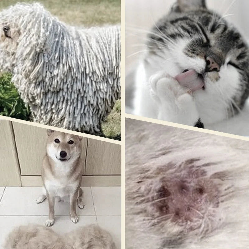 Dubbelzijdige ontklitkam voor honden en katten