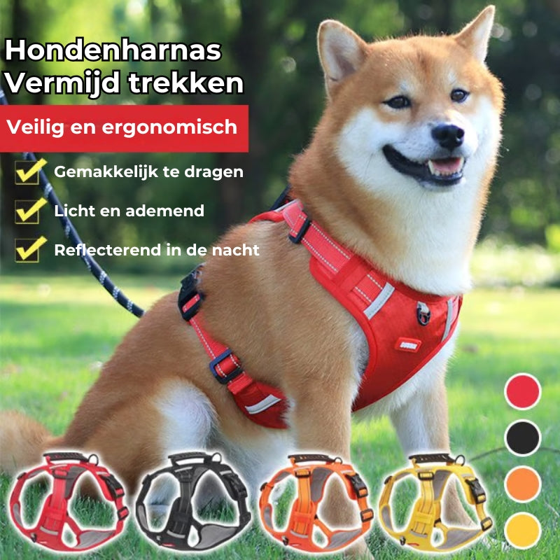 Meer Plezier, Minder Getrek: Het Comfortabele Hondenharnas