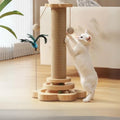 Katzen-Spaßcenter