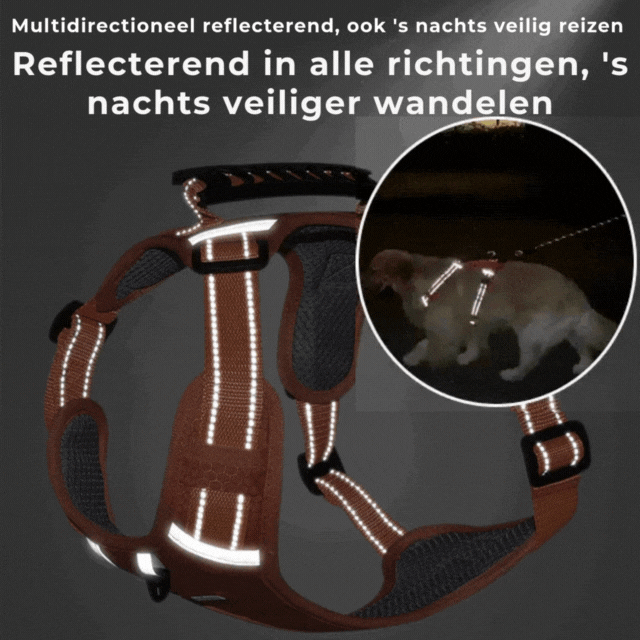 Meer Plezier, Minder Getrek: Het Comfortabele Hondenharnas