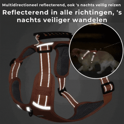 Meer Plezier, Minder Getrek: Het Comfortabele Hondenharnas