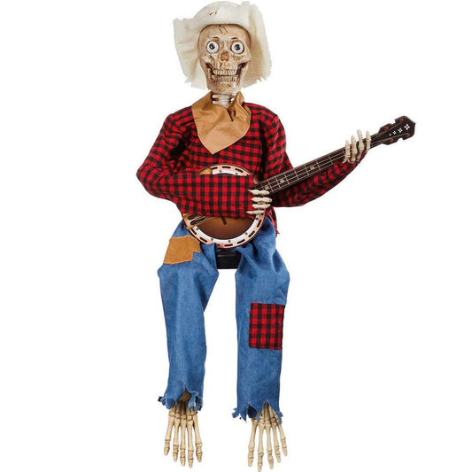 Grappige Geanimeerde Duellerende Banjo-skeletten