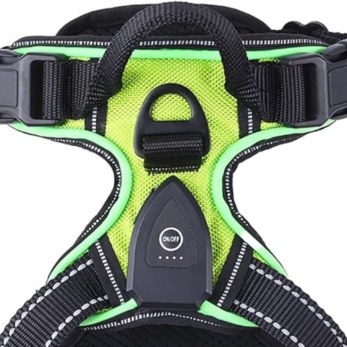 Pawgear LED-licht - Lichtgevende Hondenharnas