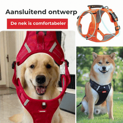 Meer Plezier, Minder Getrek: Het Comfortabele Hondenharnas