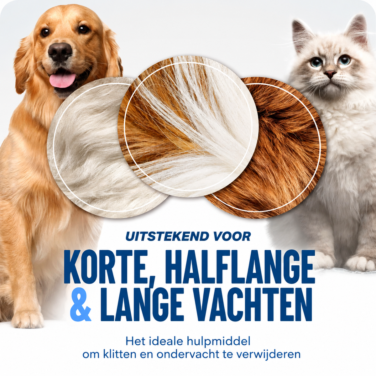 70efdf2ec9b086079795c442636b55fb_69c7e0a9-09c8-44fa-84b7-33e68f78d928.png