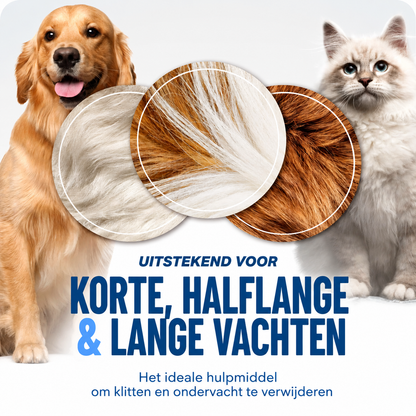 70efdf2ec9b086079795c442636b55fb_69c7e0a9-09c8-44fa-84b7-33e68f78d928.png