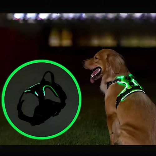 Pawgear LED-licht - Lichtgevende Hondenharnas