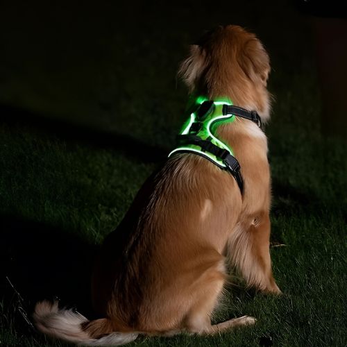 Pawgear LED-licht - Lichtgevende Hondenharnas