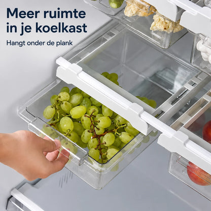 ai-main-01.webp
