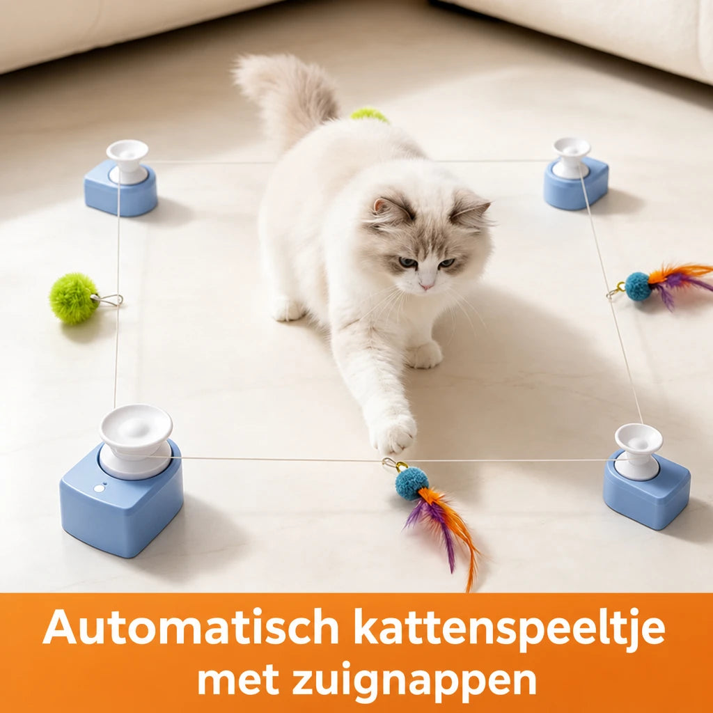 ai-main-01.webp