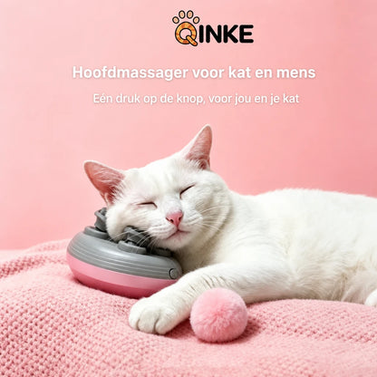 ai-main-02.webp