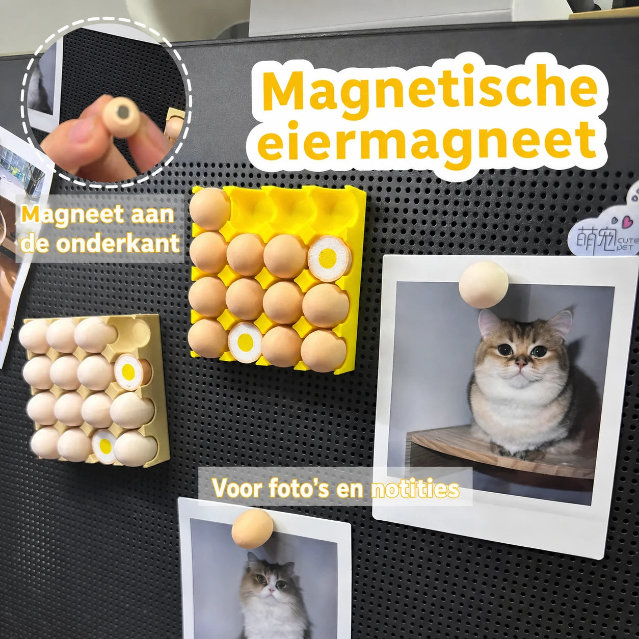 ai-main-04.webp