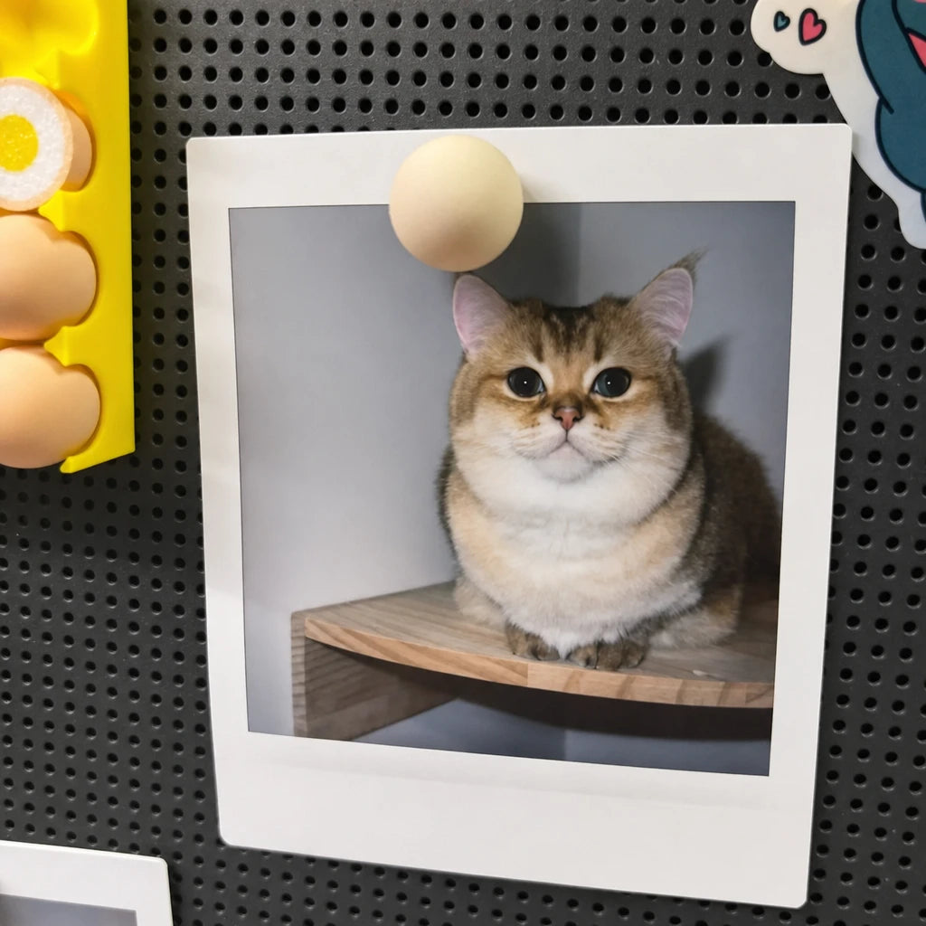 ai-main-06.webp