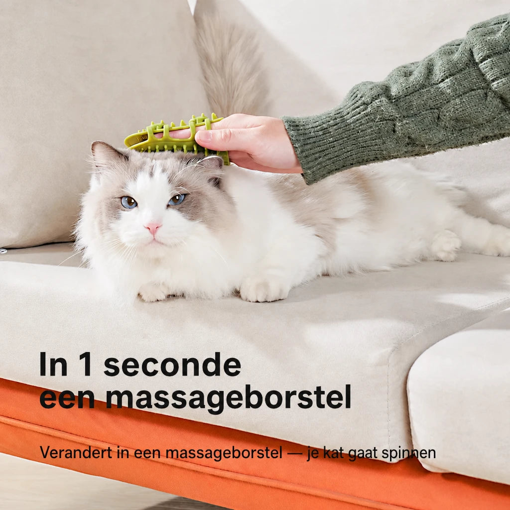 ai-main-06.webp