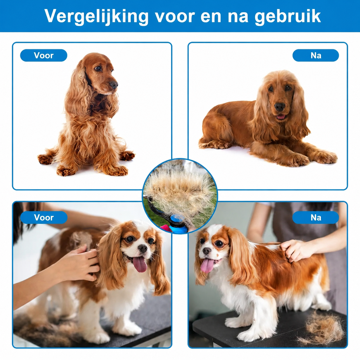 c9f0f895fb98ab9159f51fd0297e236d_fbed58e0-2b62-472e-9161-da68e0de9f98.png