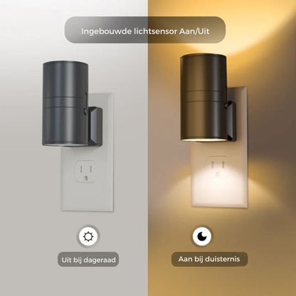 Alova Leuchtende Wunderlampe