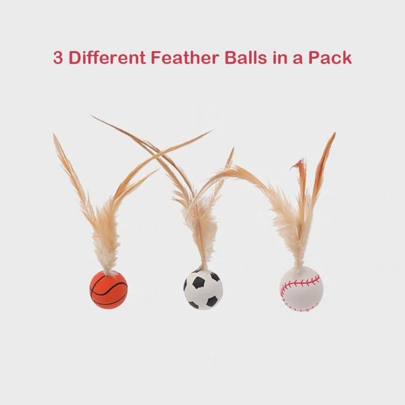 Katzen-Spielspaß Federball Set