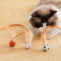 Katzen-Spielspaß Federball Set