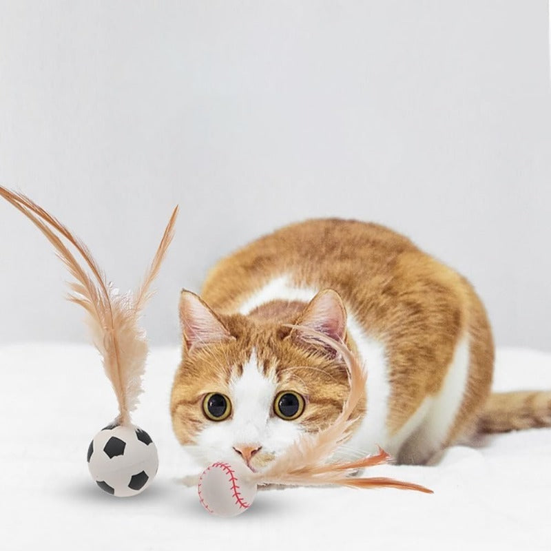 Katzen-Spielspaß Federball Set