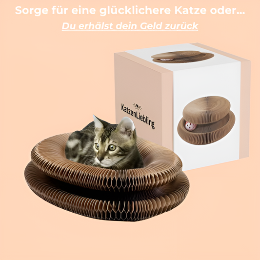 Katzenwirbel Freude Spielzeug
