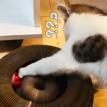 Katzenwirbel Freude Spielzeug