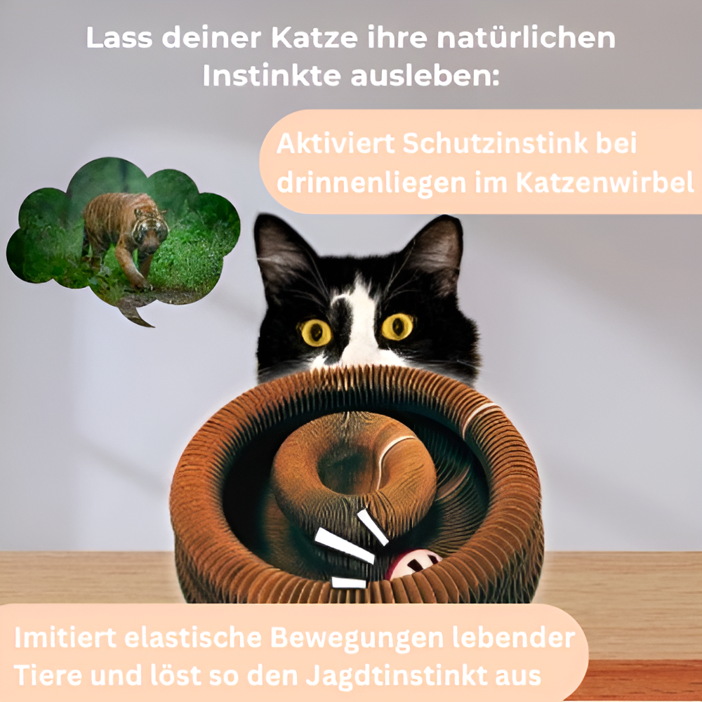 Katzenwirbel Freude Spielzeug