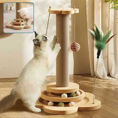 Katzen-Spaßcenter