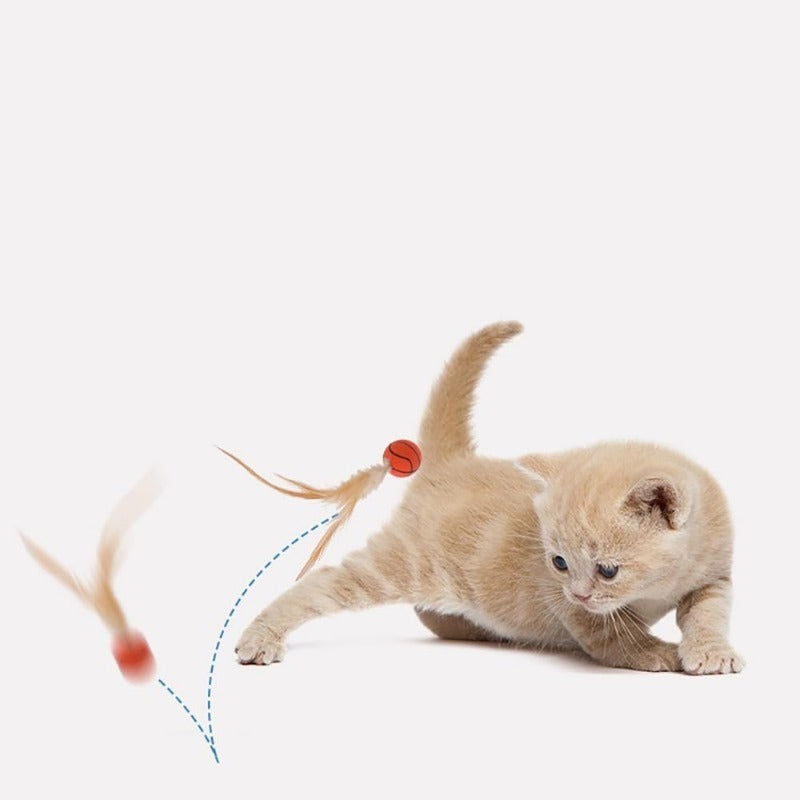 Katzen-Spielspaß Federball Set