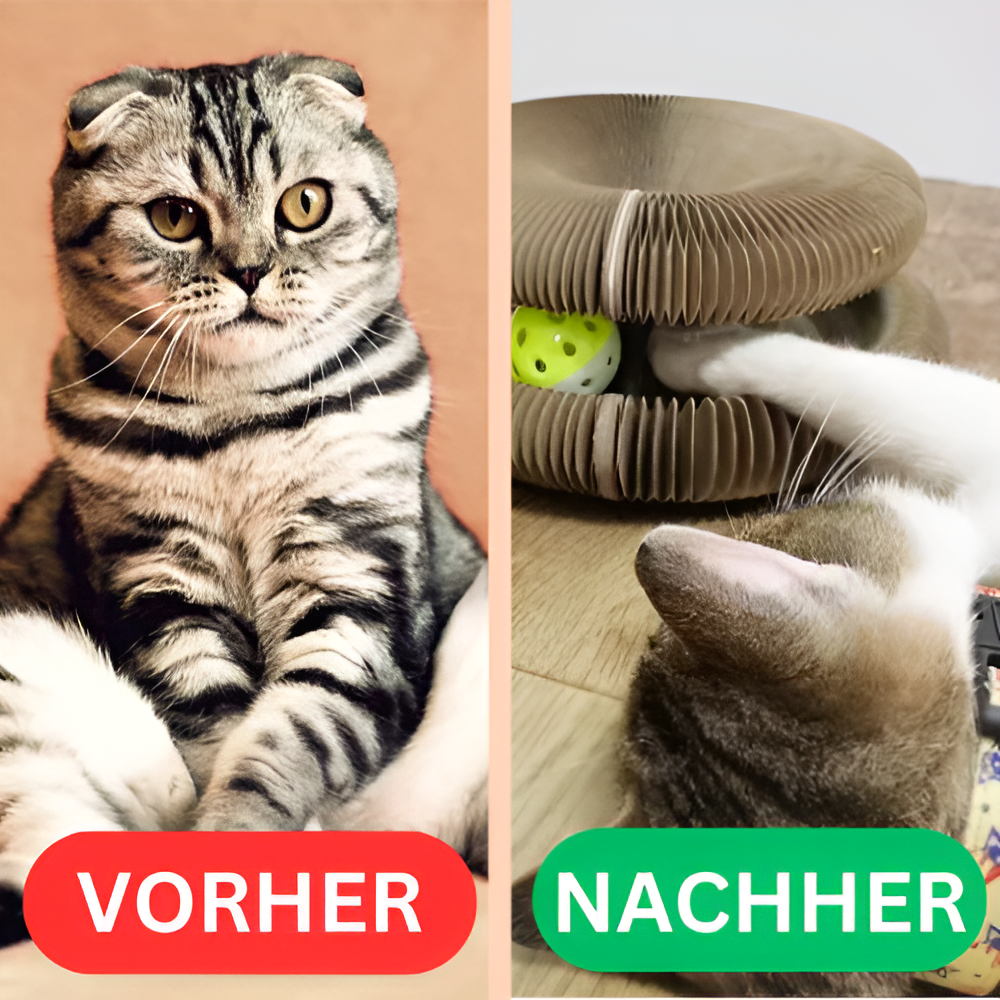 Katzenwirbel Freude Spielzeug