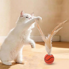 Katzen-Spielspaß Federball Set