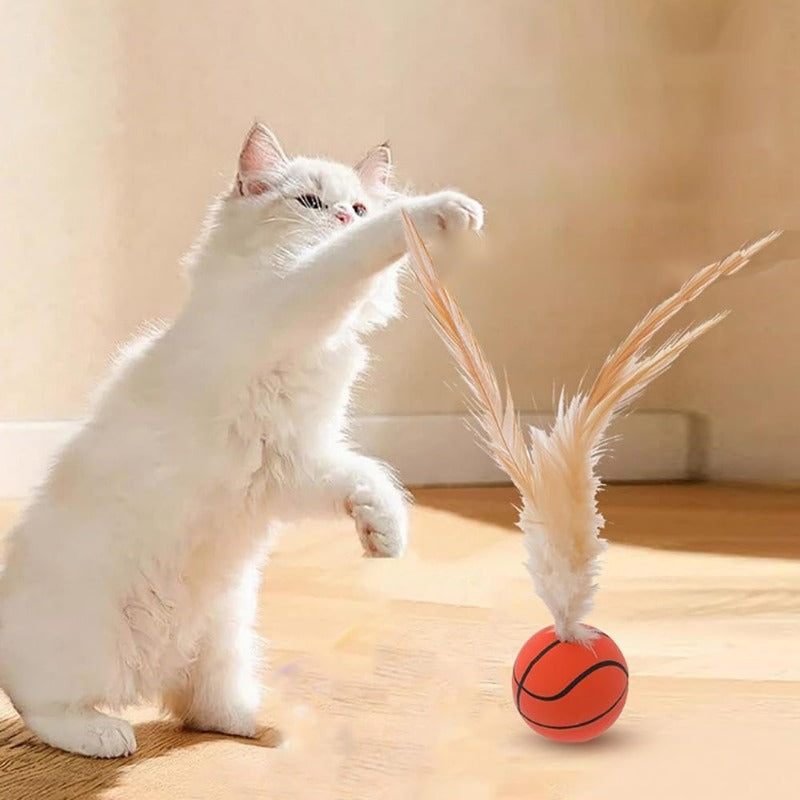 Katzen-Spielspaß Federball Set