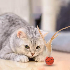Katzen-Spielspaß Federball Set