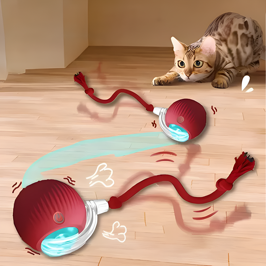 Catfri® CatBall: Automatische Interactieve Jachtbal voor Katten