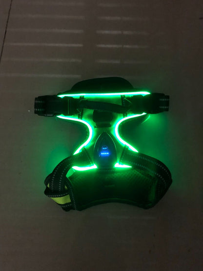 Pawgear LED-licht - Lichtgevende Hondenharnas