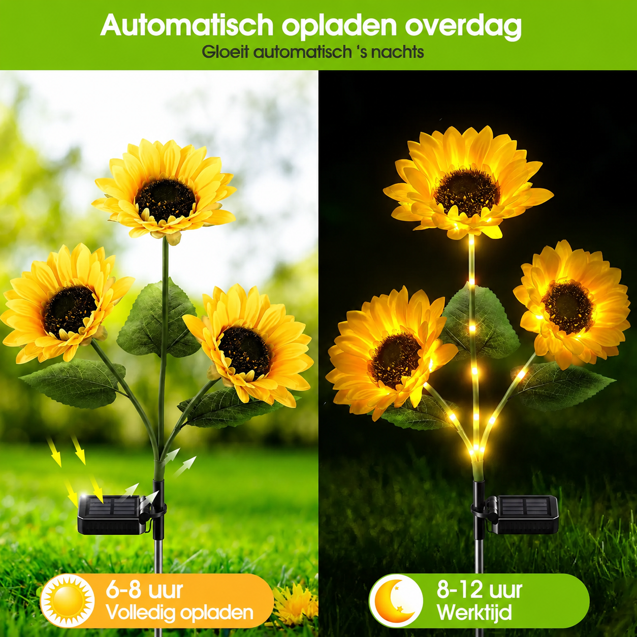 spp_20250625120354_b6a4ed842241b34ccb6ba1ada41ee5b1_6ab487c2-6cc2-4c60-bfe5-ae908d8279a7.png