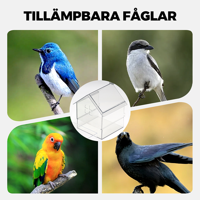 🔥Hangende transparante voederbak voor vogelkooi